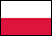 bandiera russa