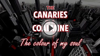 Videoclip Musicale: The Colour of My Soul