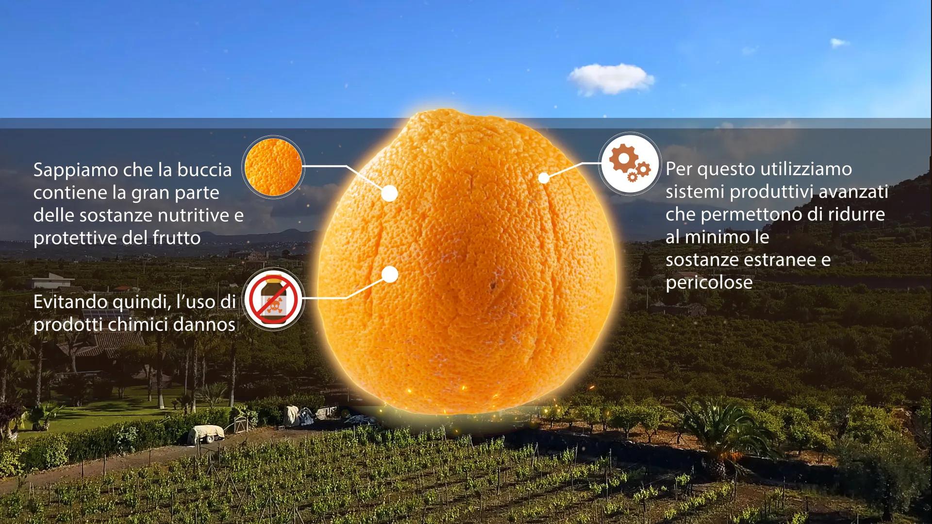 Video documentario aziendale per prodotti tipici siciliani biologici